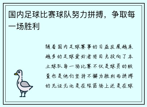 国内足球比赛球队努力拼搏，争取每一场胜利