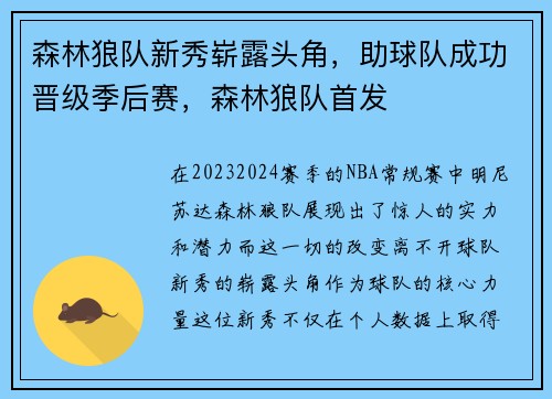 森林狼队新秀崭露头角，助球队成功晋级季后赛，森林狼队首发